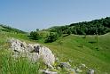 le colline di sassano